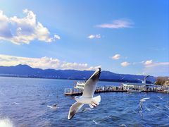 -海埂大坝