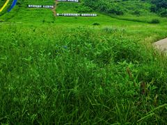 -南戴河国际娱乐中心