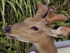 -萍乡武功山风景名胜区