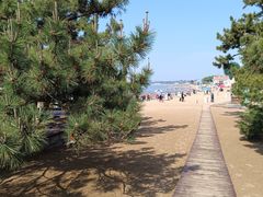 -老虎石海上公园