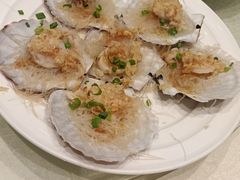 扇贝-大东海海鲜酒楼(渔人码头总店)
