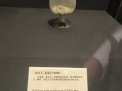 -北京周口店北京人遗址博物馆
