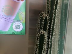 -仙雨林·奶茶鲜果茶(书院巷店)