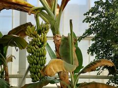 -中国农科院国家农业科技展示园