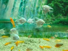 -多彩贵州城极地海洋世界