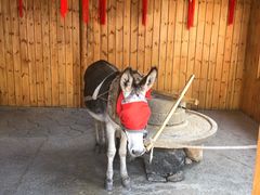 -中国马镇舞马世界主题乐园
