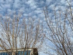 -红栌温泉山庄生态美食餐厅