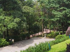 -玉树公园