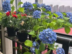 -耕渔小院·湖南鱼鲜(望城店)