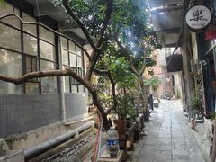 -小洲村