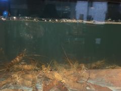 -五稻厨房粤西菜(新闻店)