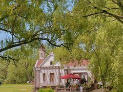 -上海共青森林公园