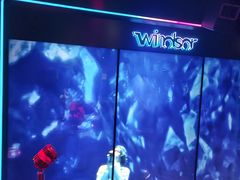 -温莎KTV(珠江路店)