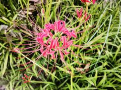 -上海山野camping·户外天幕烧烤·团建拓展营地