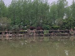 -合肥滨湖国家森林公园