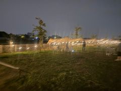 -上海山野camping·户外天幕烧烤·团建拓展营地