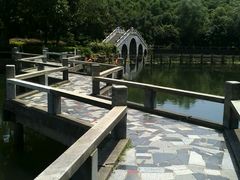 android_upload_pic-旺山景区