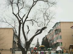 -西城区广电银河艺术幼儿园