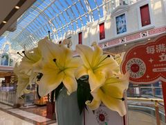 -尚一汤·粤菜海鲜(环球港店)