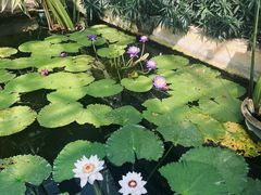 -国家植物园南园