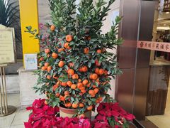 -黄埔华苑酒家(黄埔店)