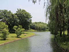 -上海佘山世茂艾美酒店