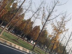 -君悦酒店·La Terrazza意合園·意式风味