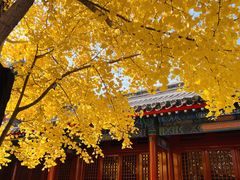 -承恩寺