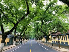 -颐和路民国时期公馆风貌区