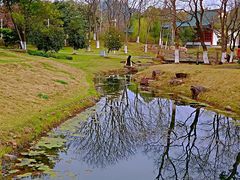 -月湖风景区