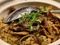 -侨美·唐荔园·40年地道粤菜