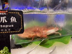 -宴立方海鲜自助(义乌万达广场店)