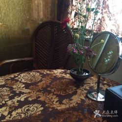 -金夫人美容