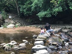 -广州市石门国家森林公园