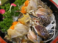 -渔娘渔家丹东海鲜(东直门店)