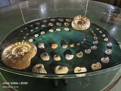 -南通洲际绿博园