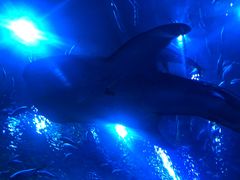 -成都浩海立方海洋公园