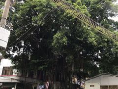 -后街女孩肠粉店