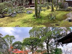 -醍醐寺
