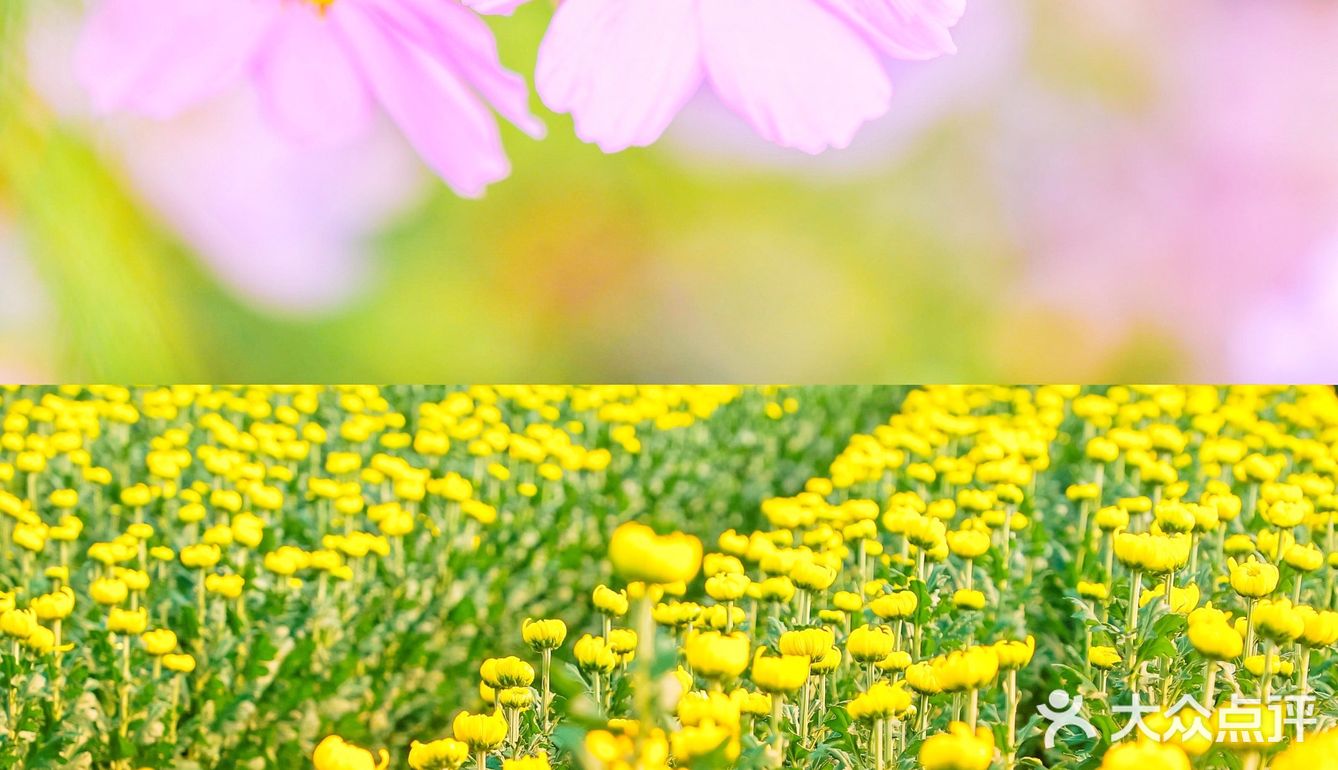 延庆里炮村｜北京秋日的周末乡村游