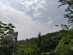 -白水寺森林公园