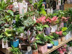 -缦云里花园餐厅