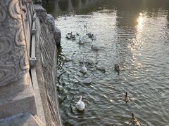 -迎泽公园