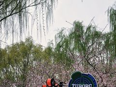 -三里河公园
