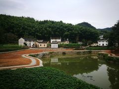 -灵山景区梯田