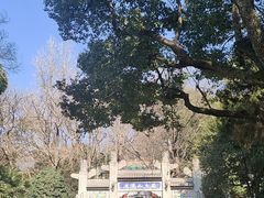 -九华山公园