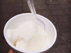 -洪馨椰子
