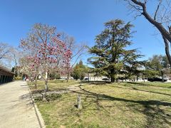 -国家图书馆·古籍馆