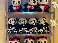 -成都保利公园皇冠假日酒店(熊猫基地店)
