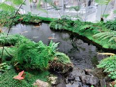 -罗红摄影艺术馆